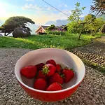 Casa Luigi Is Wonderful View Holiday home Monte Marenzo