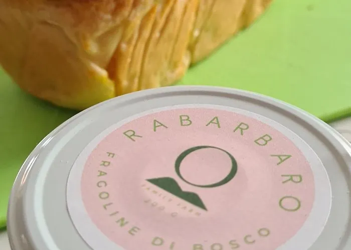 Tatil Evi Casa Luigi Is Como Lake Wonderful View Monte Marenzo