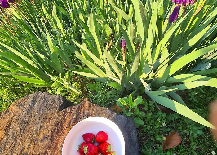 Casa Luigi Is Como Lake Wonderful View Tatil Evi *