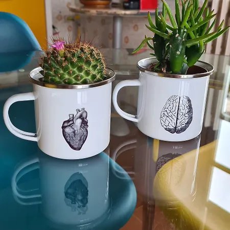 Casa Luigi Is Como Lake Wonderful View * Monte Marenzo