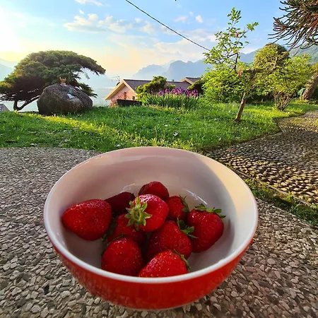 Casa Luigi Is Wonderful View Tatil Evi Monte Marenzo