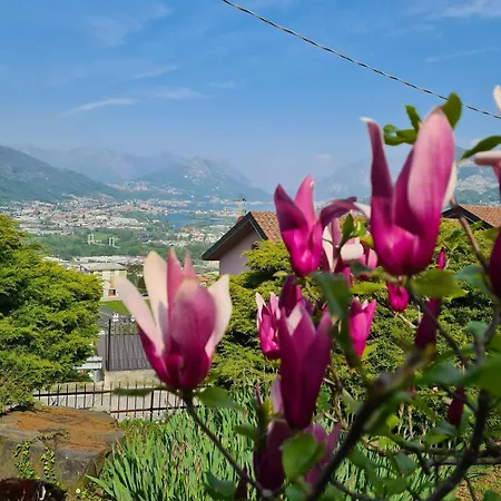 Casa Luigi Is Wonderful View Tatil Evi *