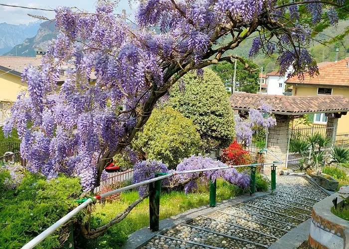 Casa Luigi Is Como Lake Wonderful View *