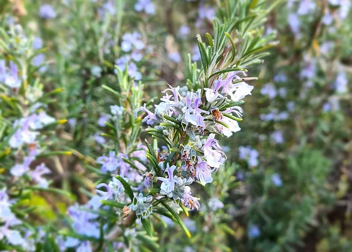 Σπίτι διακοπών Casa Luigi Is Como Lake Wonderful View