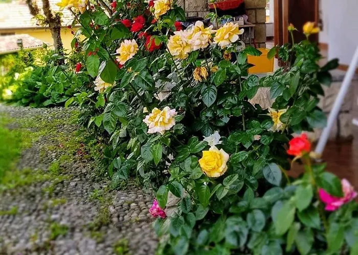 Σπίτι διακοπών Casa Luigi Is Como Lake Wonderful View Monte Marenzo