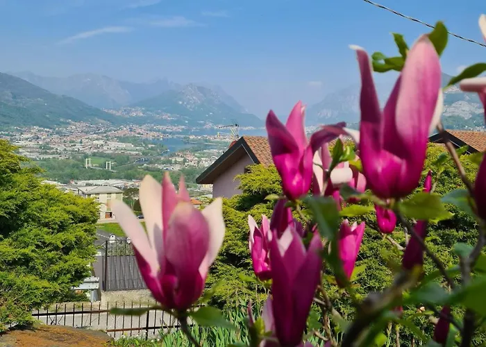 Casa Luigi Is Como Lake Wonderful View Σπίτι διακοπών *
